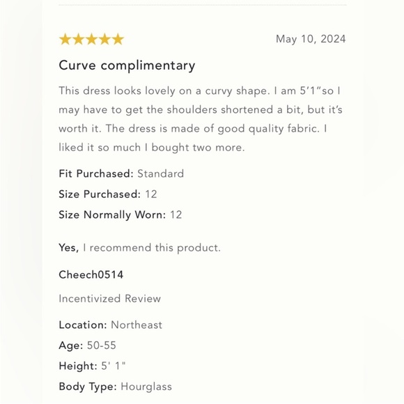 Anthropologie NWT THE CECILY FIT & FLARE SWEETHEART DRESS BY MAEVE size L - Picture 13 of 15